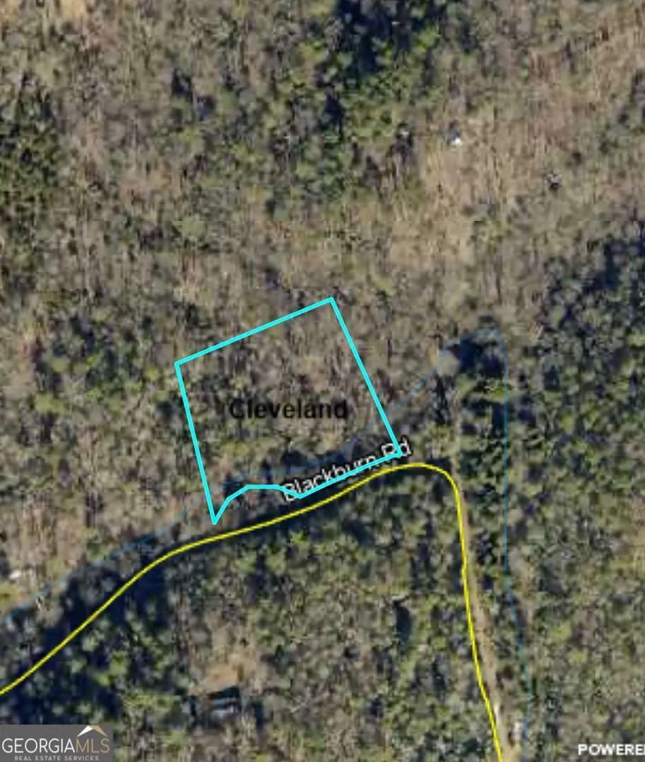 0 Blackburn RD Cleveland, GA 30528