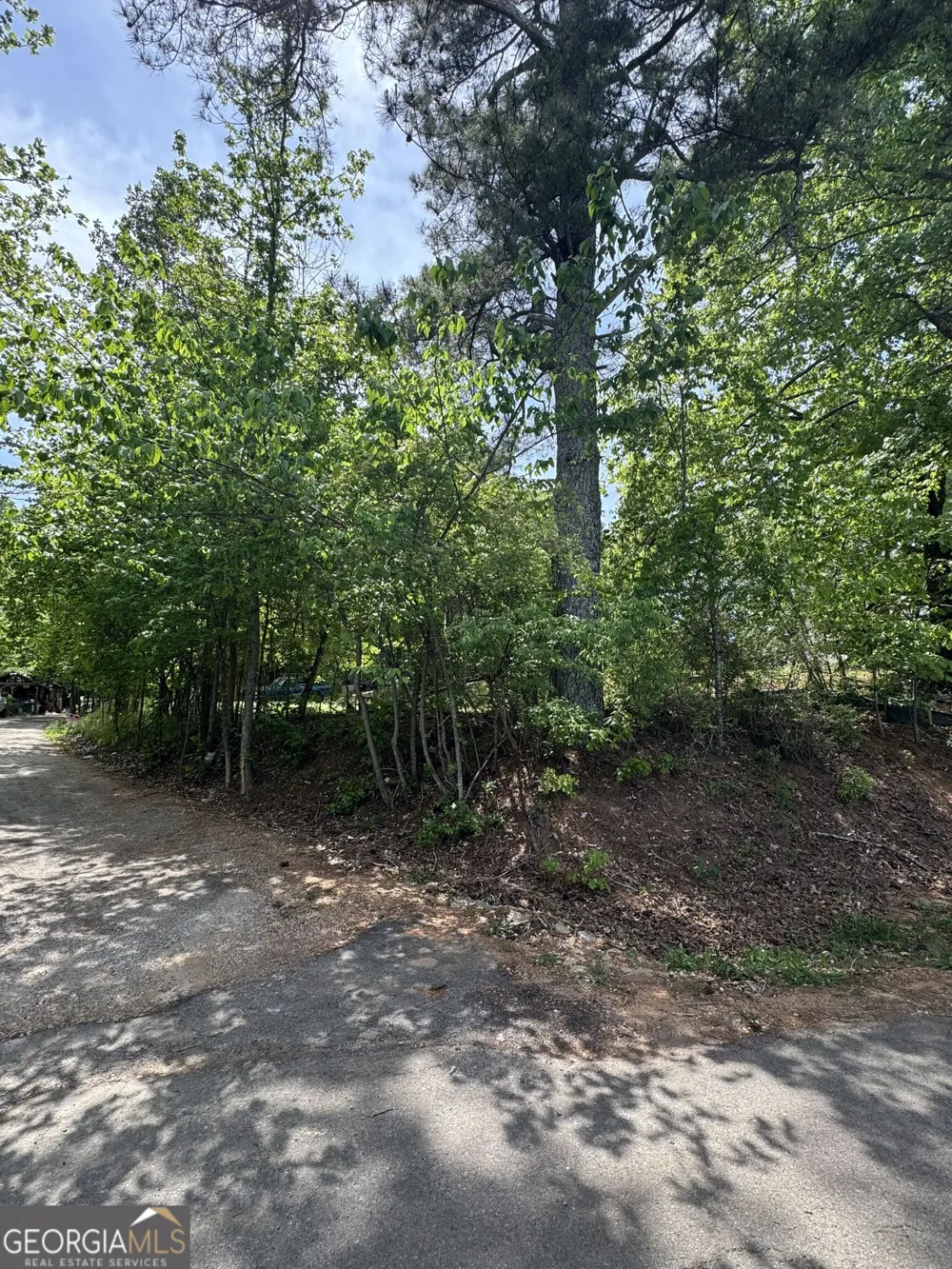 4652 Woodlane DR Oakwood, GA 30566
