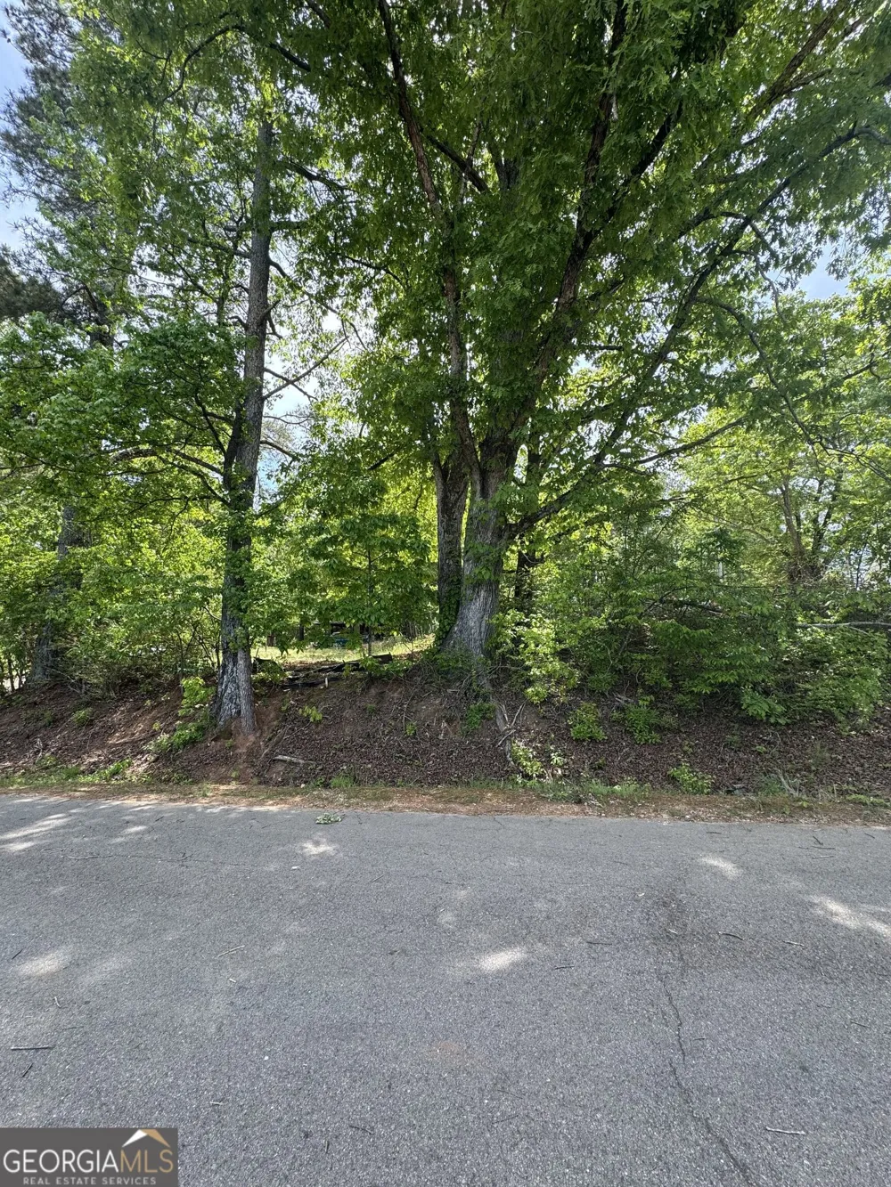 4652 Woodlane DR Oakwood, GA 30566