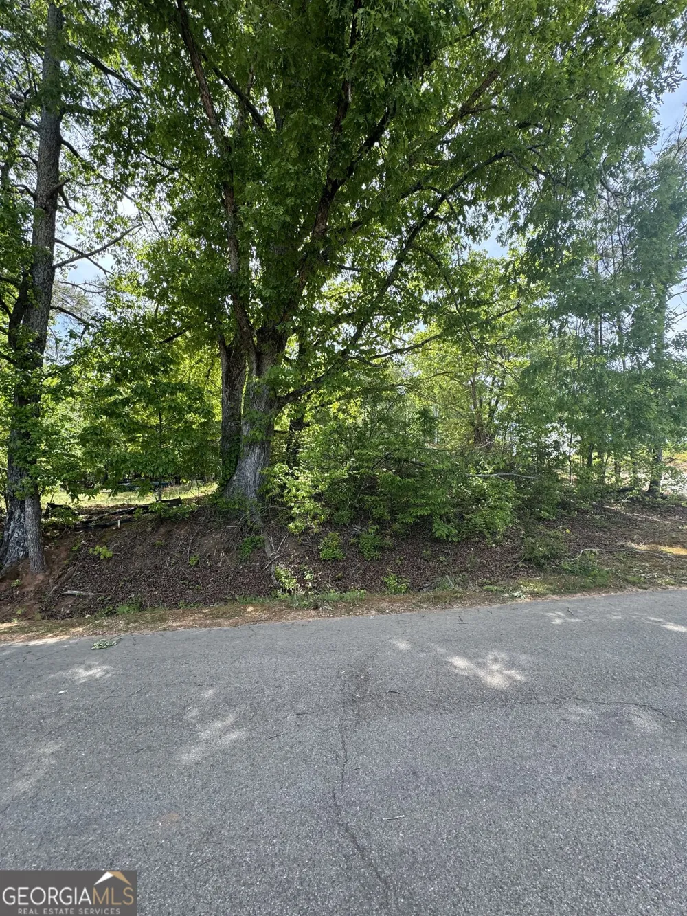 4652 Woodlane DR Oakwood, GA 30566