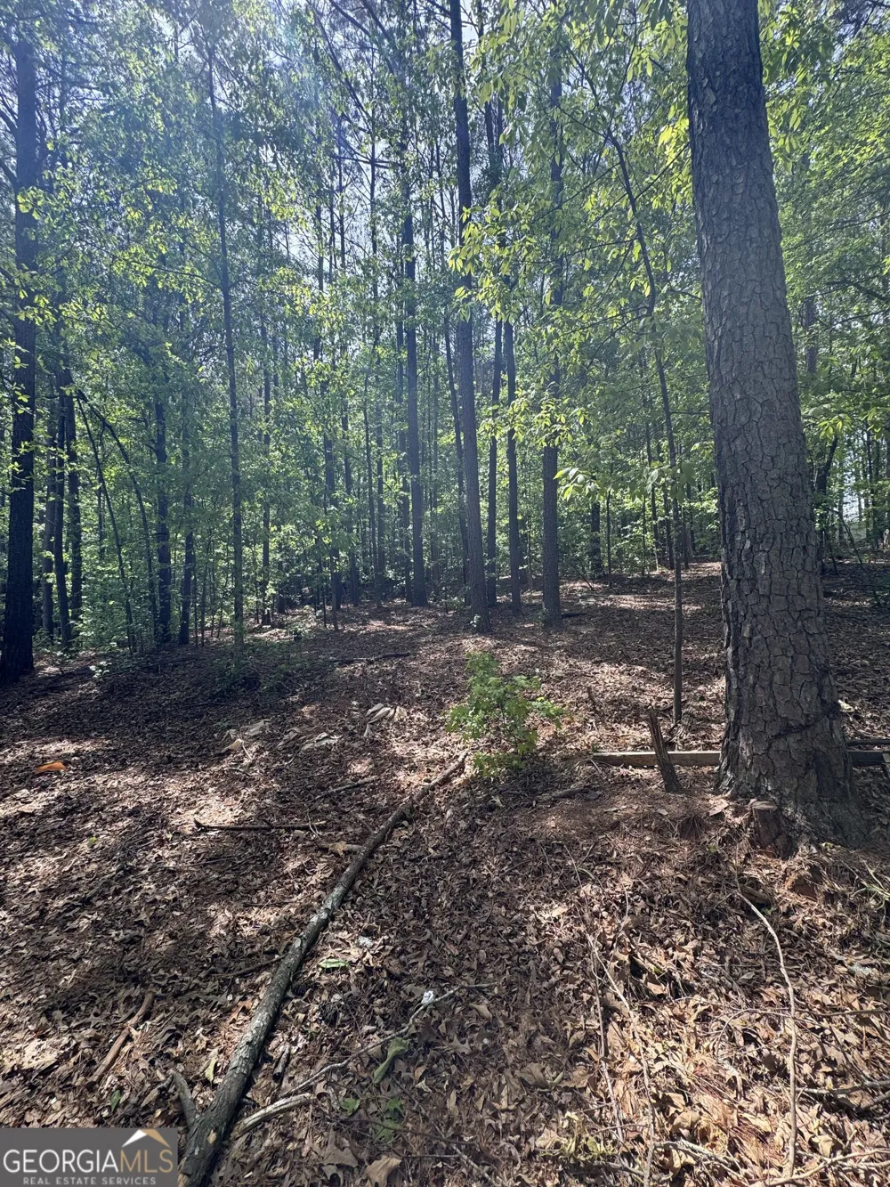 4652 Woodlane DR Oakwood, GA 30566