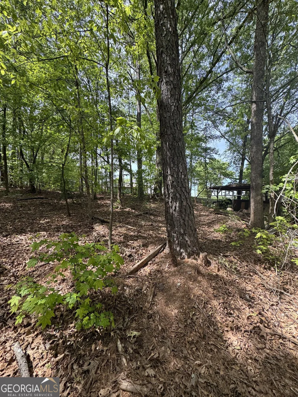 4652 Woodlane DR Oakwood, GA 30566