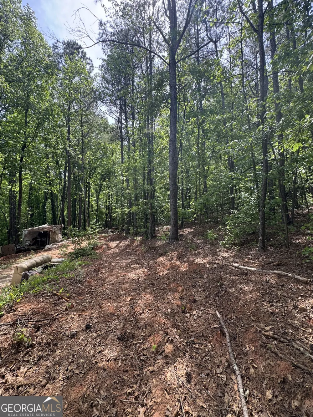 4652 Woodlane DR Oakwood, GA 30566