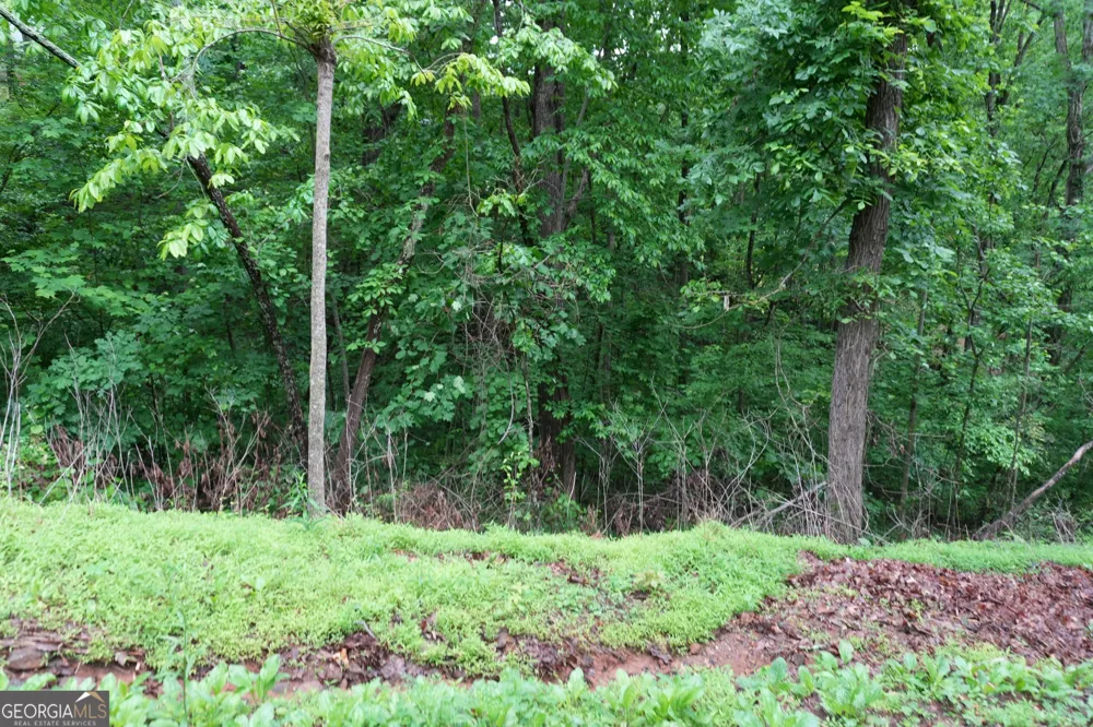 0 Quail Mountain TRL Gainesville, GA 30506