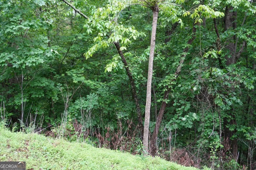 0 Quail Mountain TRL Gainesville, GA 30506