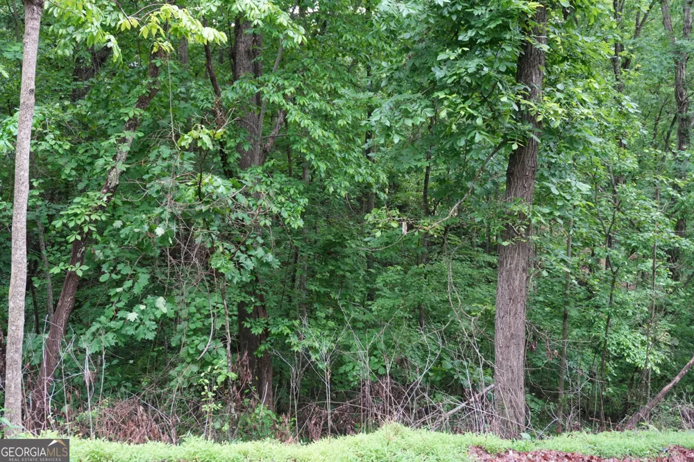 0 Quail Mountain TRL Gainesville, GA 30506