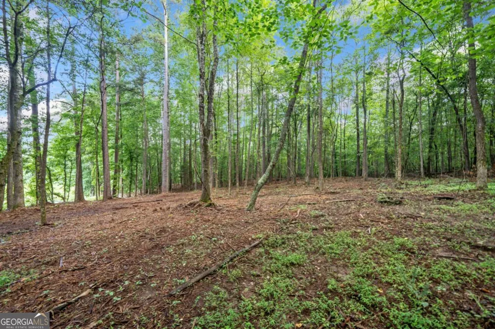 235 Brock TRL Milton, GA 30004