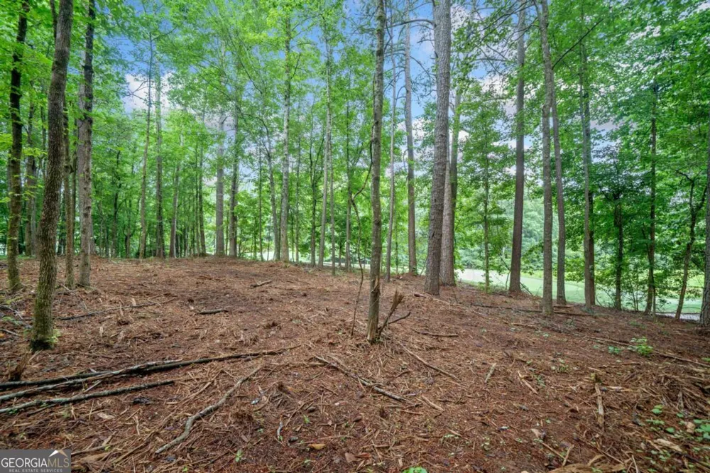 235 Brock TRL Milton, GA 30004