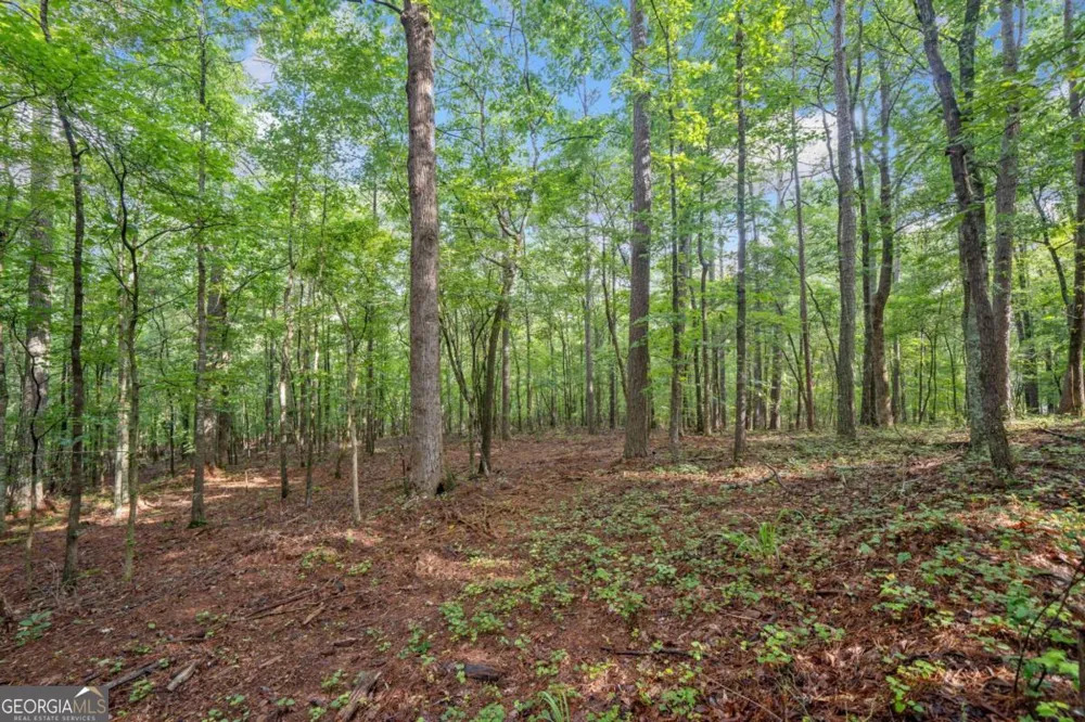 235 Brock TRL Milton, GA 30004