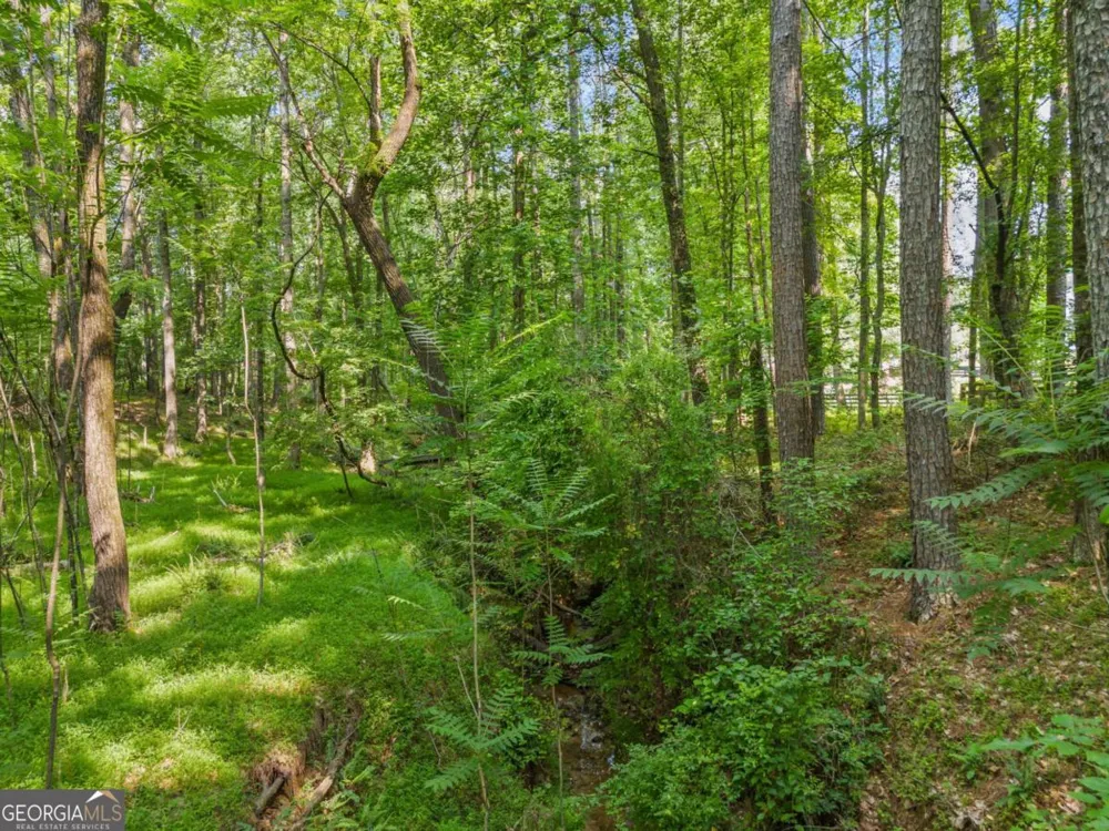 235 Brock TRL Milton, GA 30004