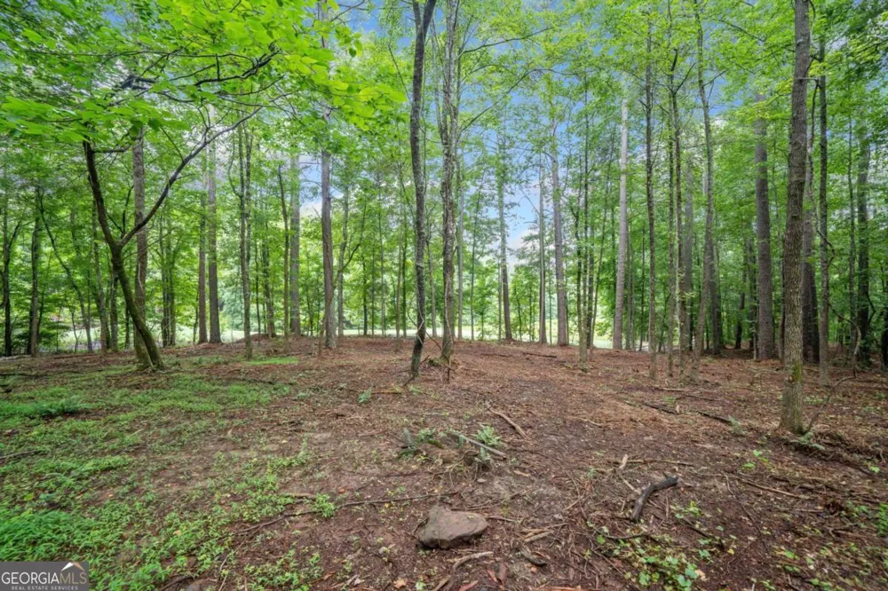 235 Brock TRL Milton, GA 30004