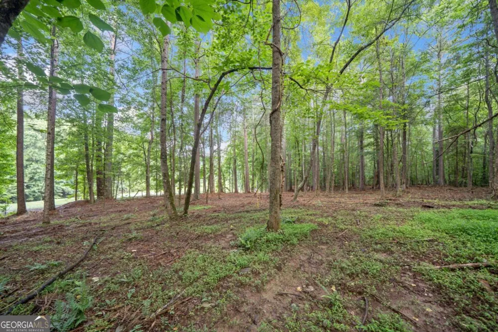 235 Brock TRL Milton, GA 30004