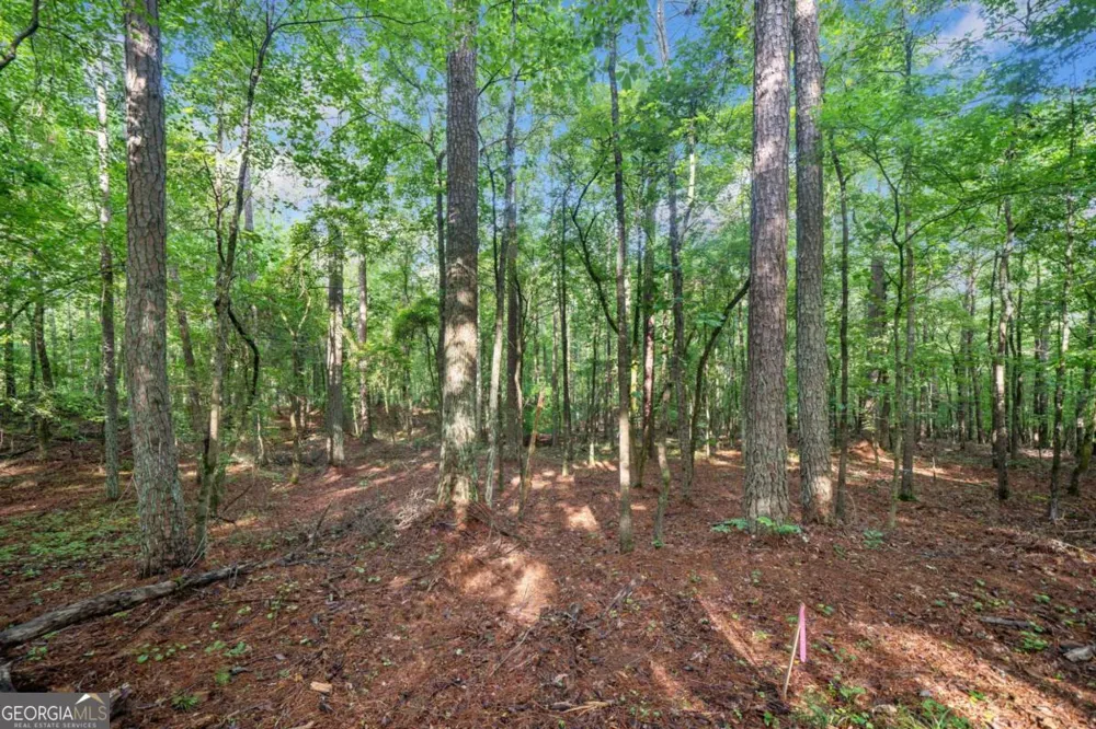 225 Brock TRL Milton, GA 30004