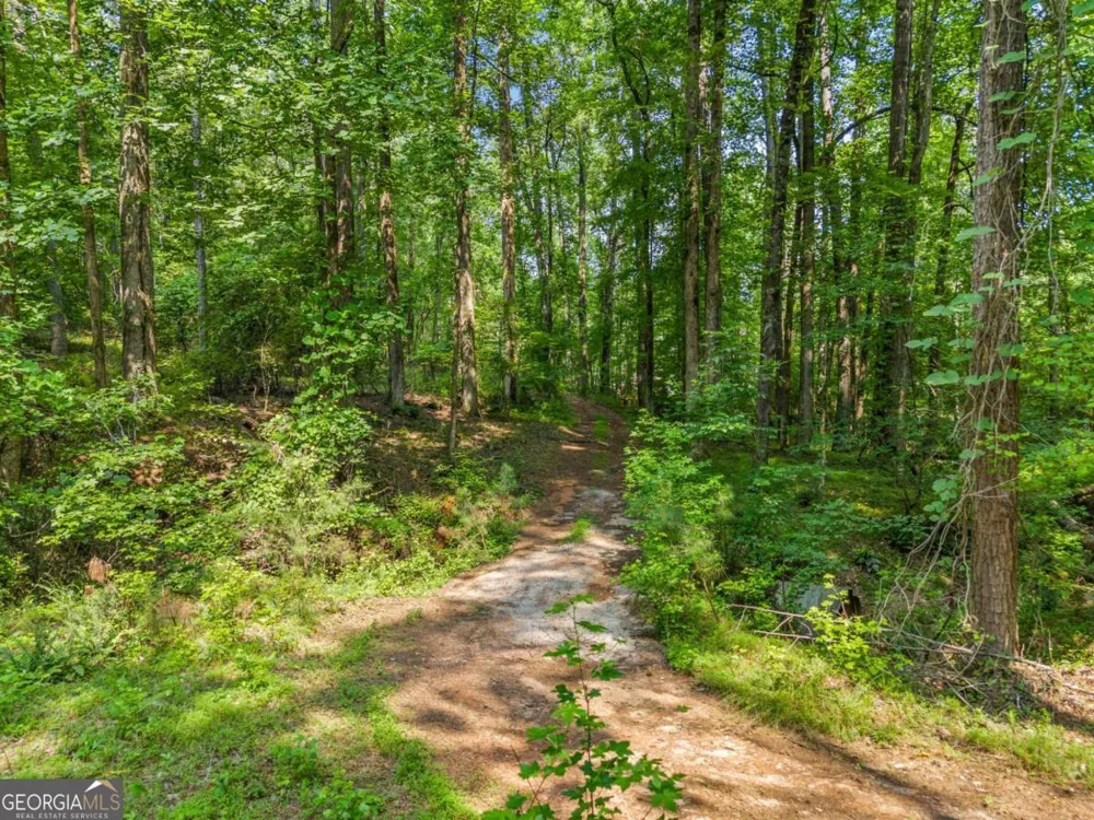 230 Brock TRL Milton, GA 30004