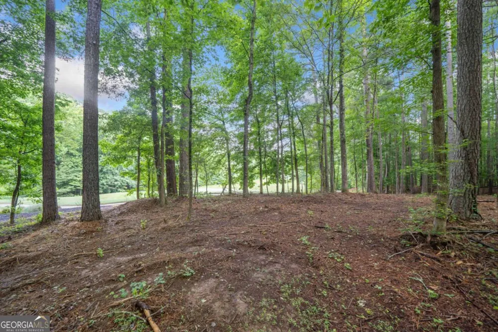230 Brock TRL Milton, GA 30004