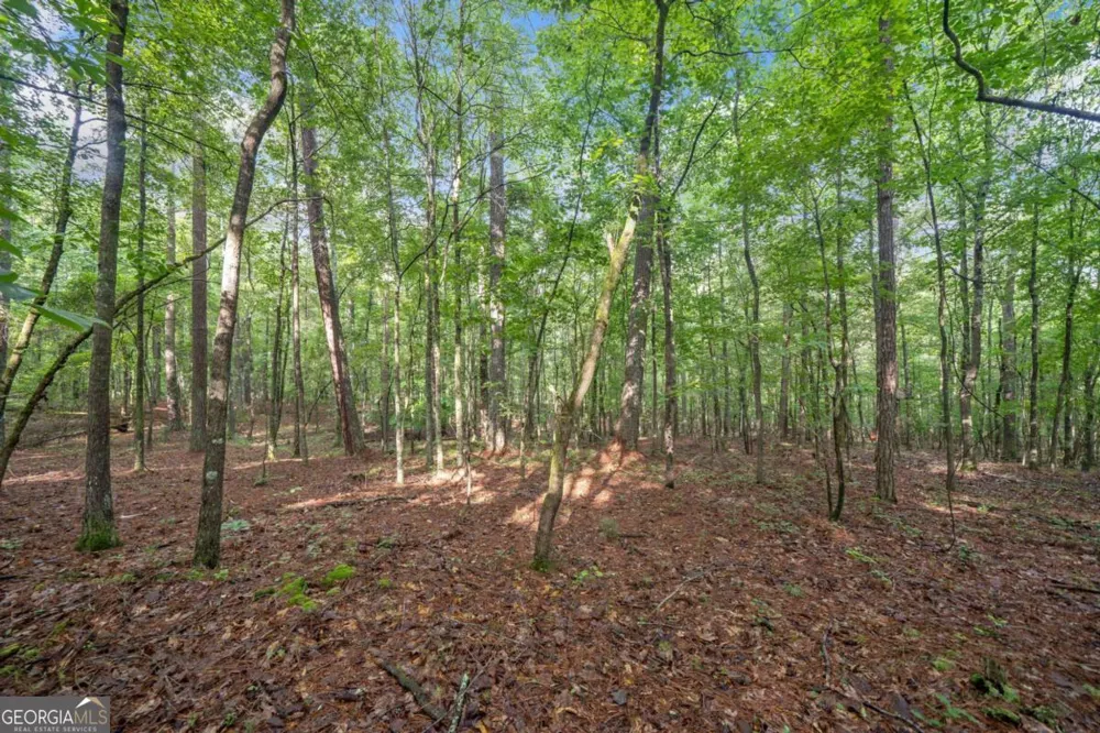 230 Brock TRL Milton, GA 30004