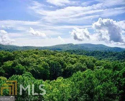 0 Brown Mountain RD