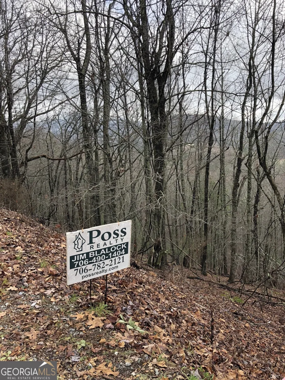 0 Brown Mountain RD Macon, NC 28775