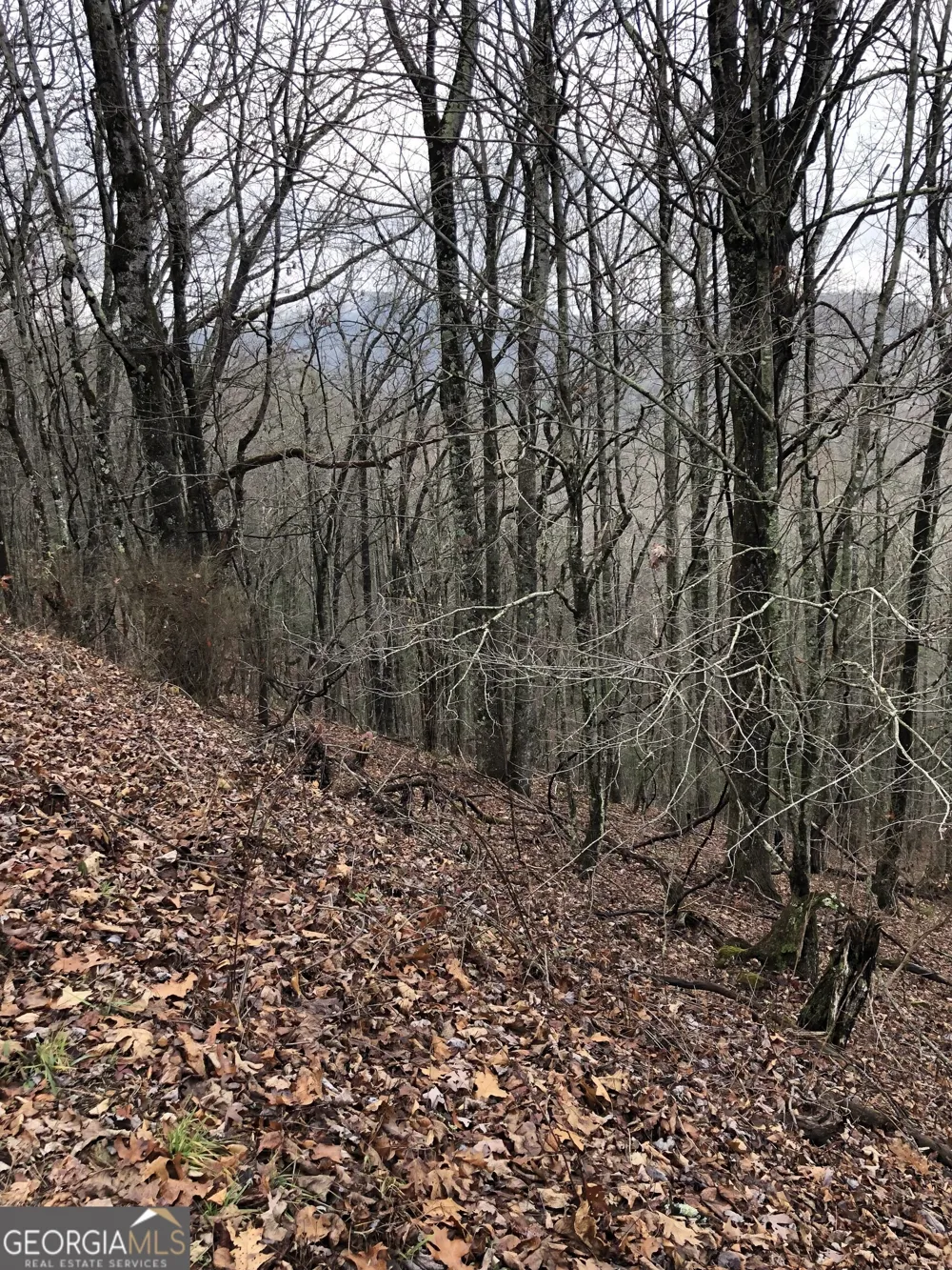 0 Brown Mountain RD Macon, NC 28775
