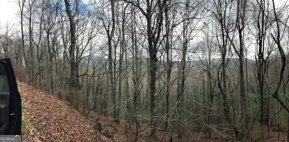 0 Brown Mountain RD Macon, NC 28775