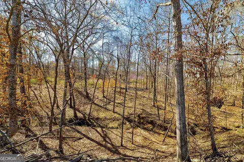 LOT 7 Mayfield RD