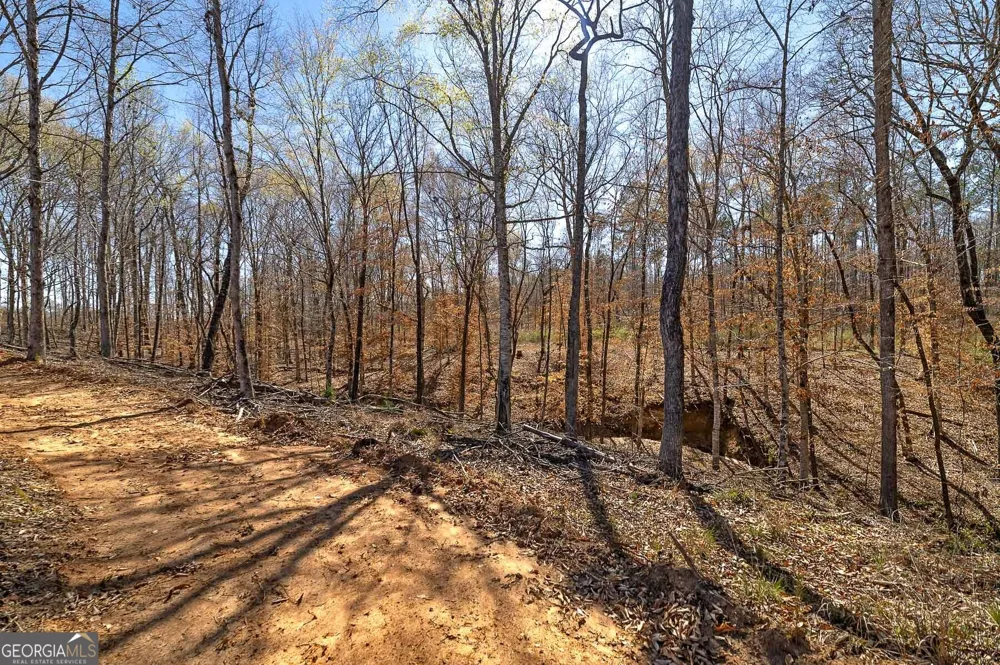 117 Mayfield RD Flovilla, GA 30216