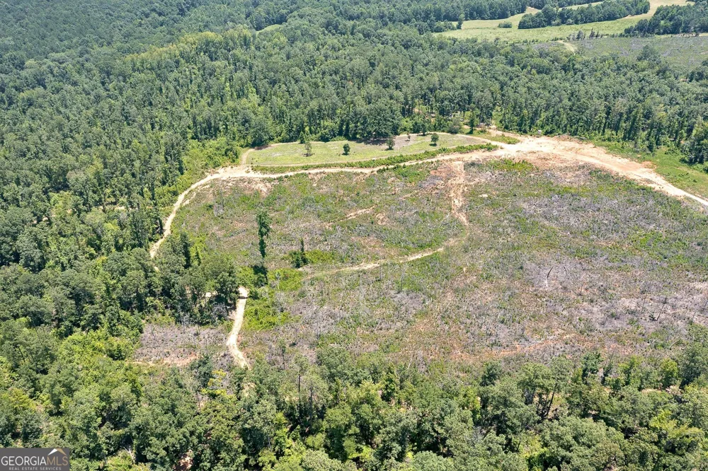 LOT 4 Mayfield RD Flovilla, GA 30216