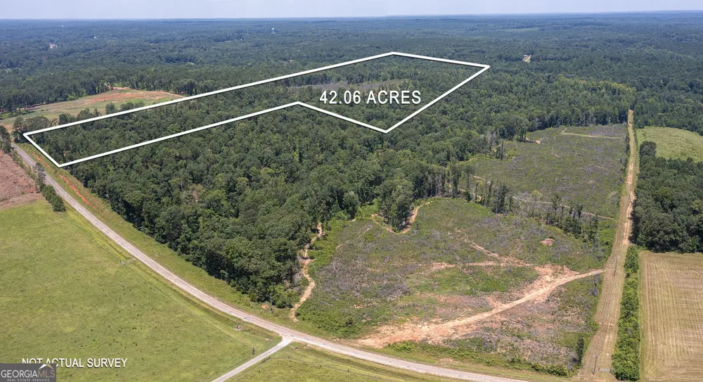 LOT 4 Mayfield RD Flovilla, GA 30216