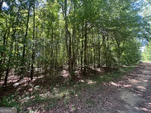 520 E Church ST Sandersville, GA 31082