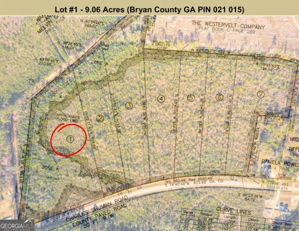 LOT 1 Charles Shuman RD Pembroke, GA 31321