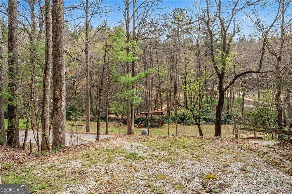 1790 Stanley Creek RD Cherry Log, GA 30522