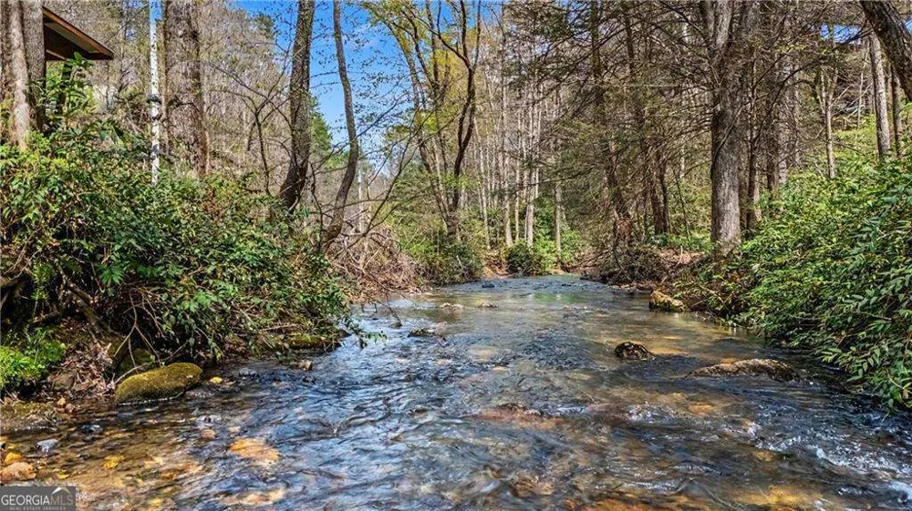 1790 Stanley Creek RD Cherry Log, GA 30522