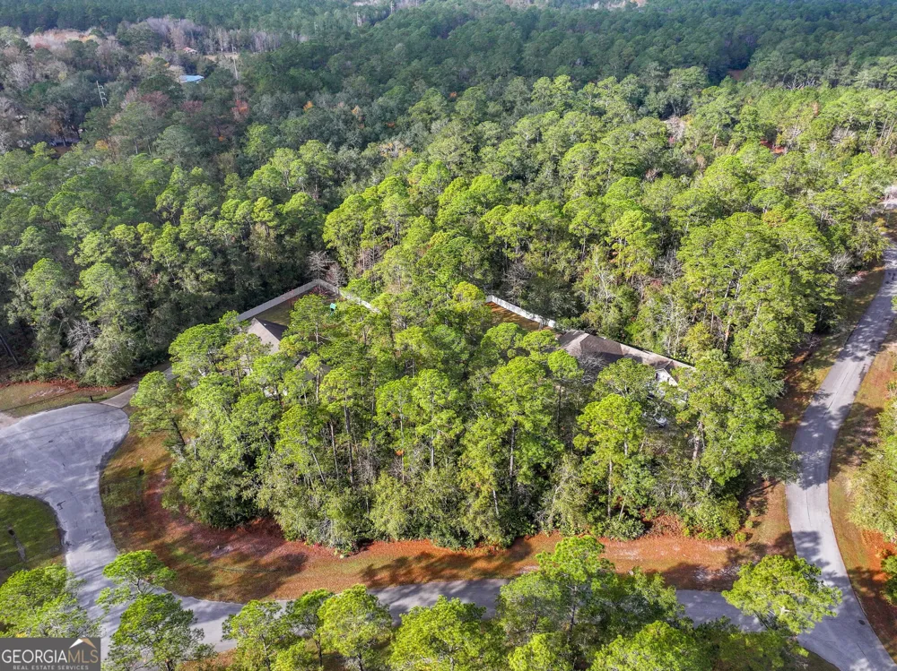 LOT 1 Turtle Dove WAY Waverly, GA 31565