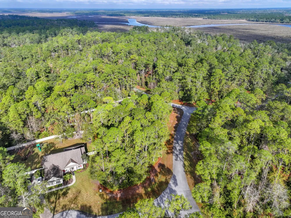 LOT 1 Turtle Dove WAY Waverly, GA 31565