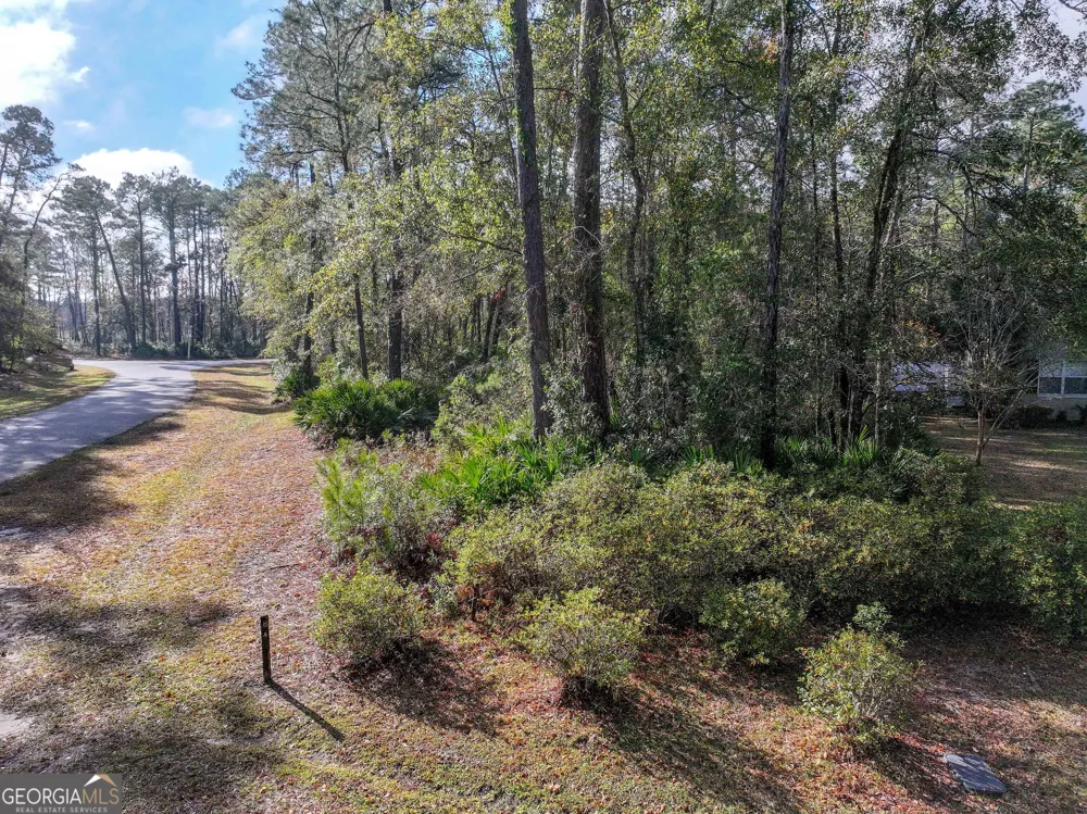 LOT 1 Turtle Dove WAY Waverly, GA 31565