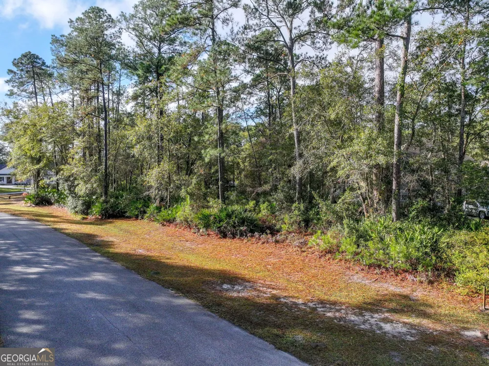 LOT 1 Turtle Dove WAY Waverly, GA 31565