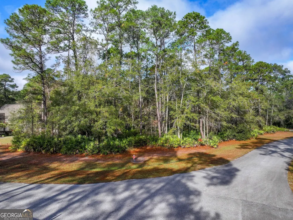 LOT 1 Turtle Dove WAY Waverly, GA 31565