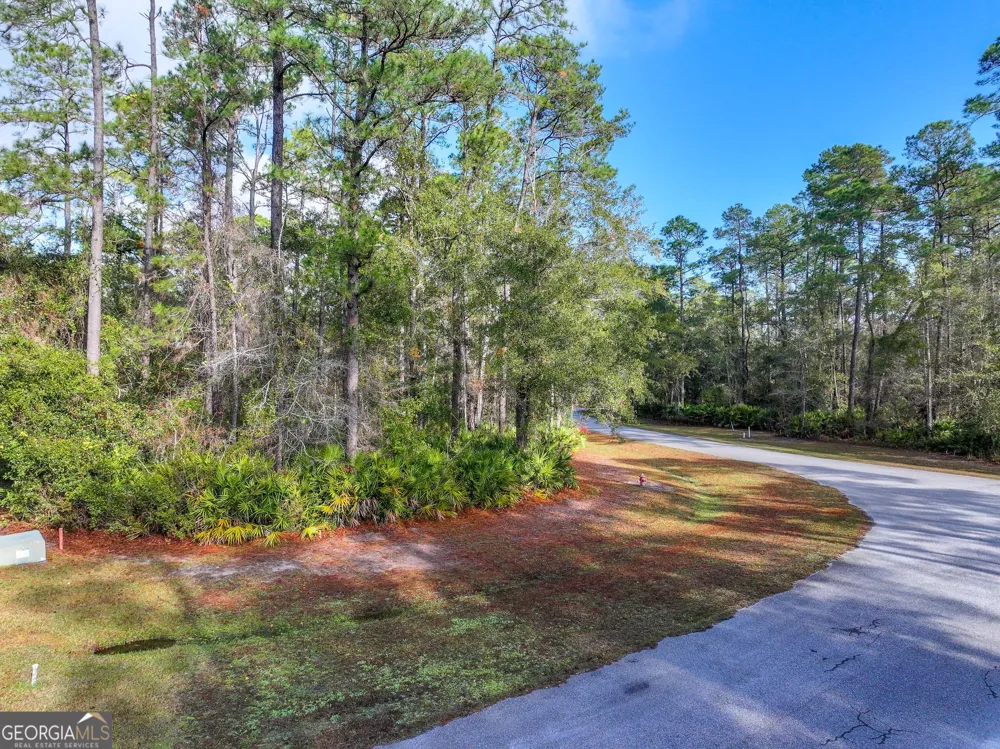 LOT 1 Turtle Dove WAY Waverly, GA 31565