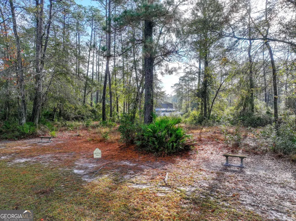 LOT 1 Turtle Dove WAY Waverly, GA 31565