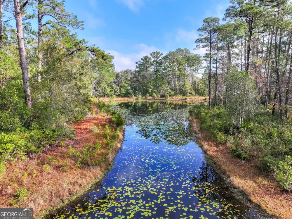 LOT 1 Turtle Dove WAY Waverly, GA 31565
