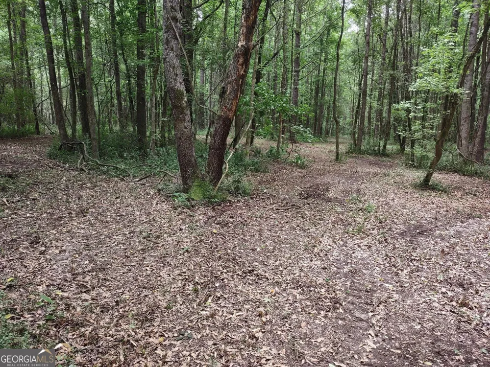 7001 Coatsworth DR Stockbridge, GA 30281
