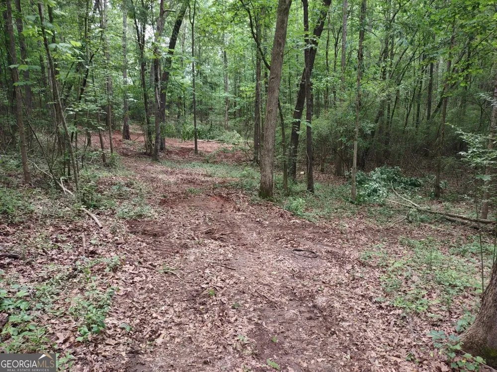 7001 Coatsworth DR Stockbridge, GA 30281