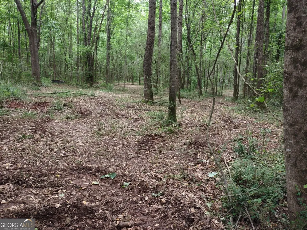 7001 Coatsworth DR Stockbridge, GA 30281