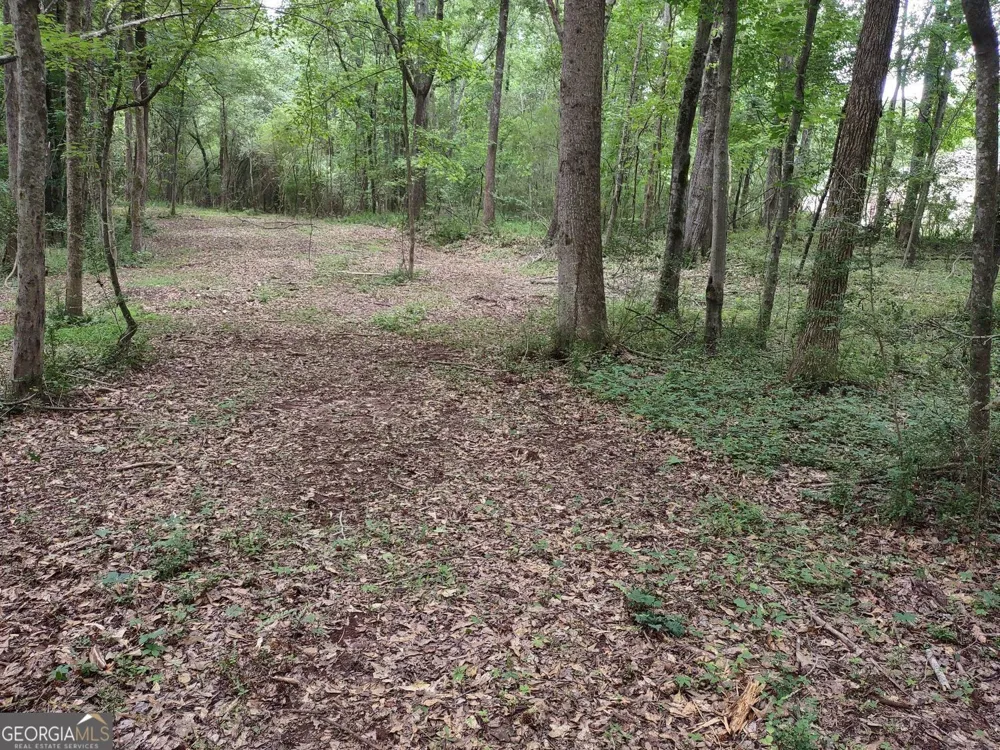 7001 Coatsworth DR Stockbridge, GA 30281