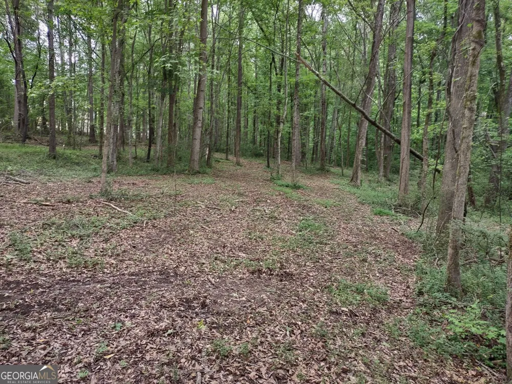 7001 Coatsworth DR Stockbridge, GA 30281