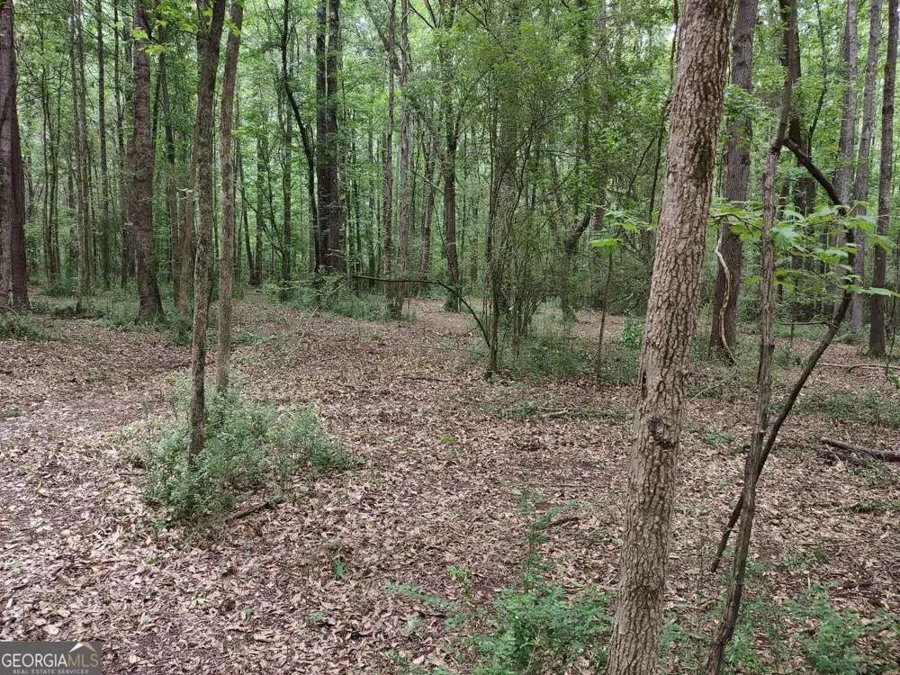 7001 Coatsworth DR Stockbridge, GA 30281