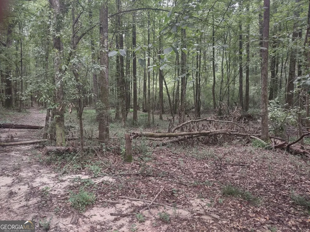 7001 Coatsworth DR Stockbridge, GA 30281
