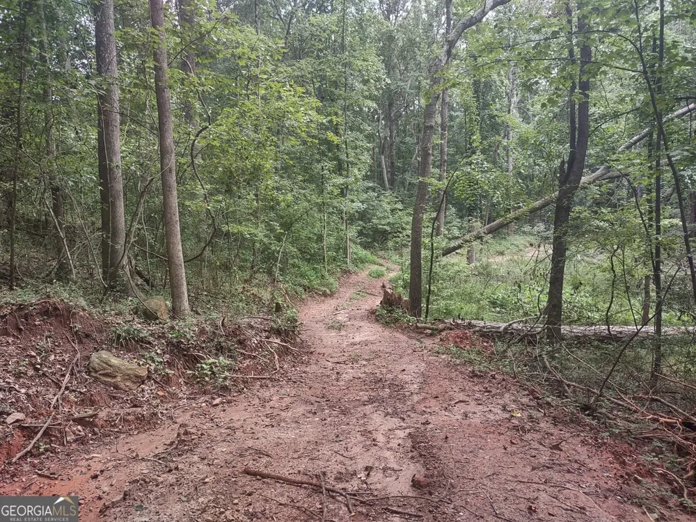 7001 Coatsworth DR Stockbridge, GA 30281