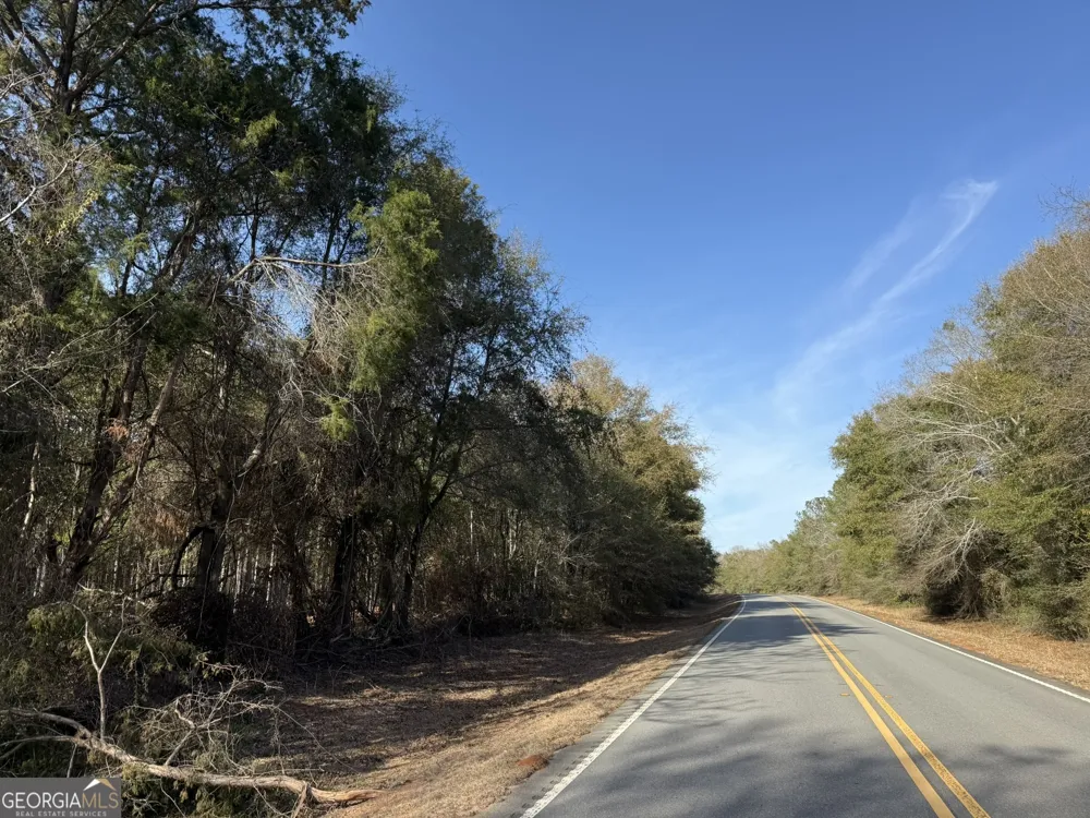 004 Hwy 45 Plains, GA 31780
