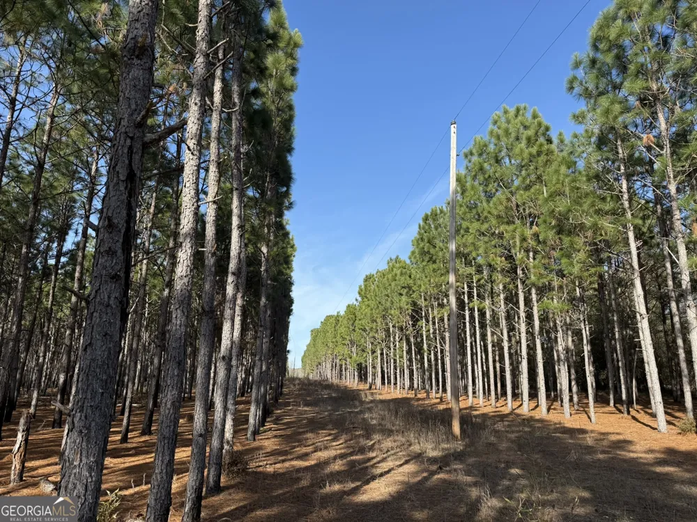 004 Hwy 45 Plains, GA 31780